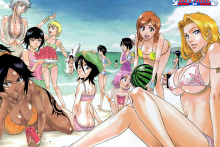 Bleach Females At The Beach Hentai Image