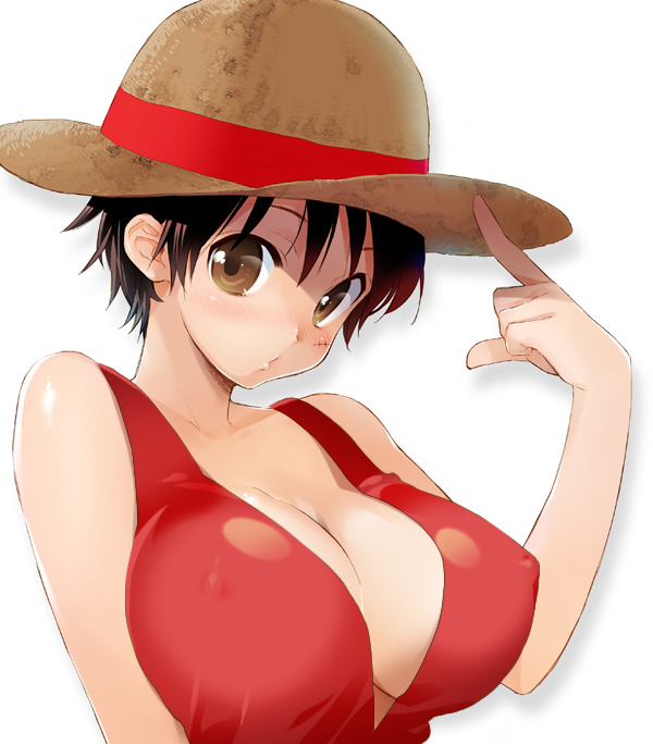 Female Luffy One Piece Hentai Image. 