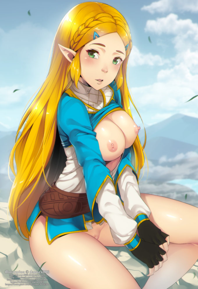 Princess Zelda – Dannex009 – The Legend of Zelda