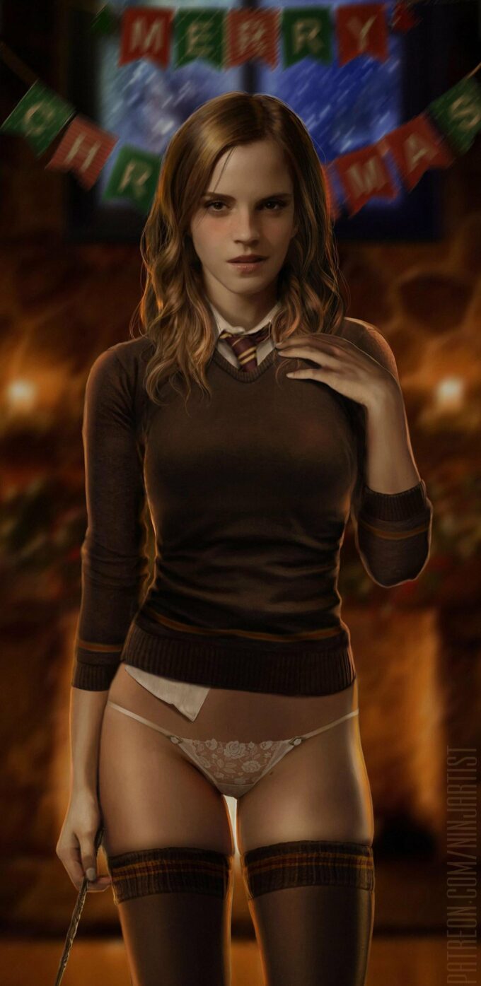 Hermione Granger – Ninjartist – Harry Potter