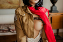 Mikasa Ackerman – Ablizzard – Attack on Titan