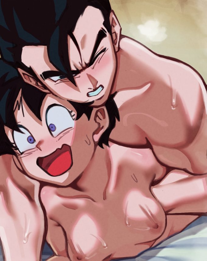 Son Gohan and Videl – Roropull – Dragon Ball Z