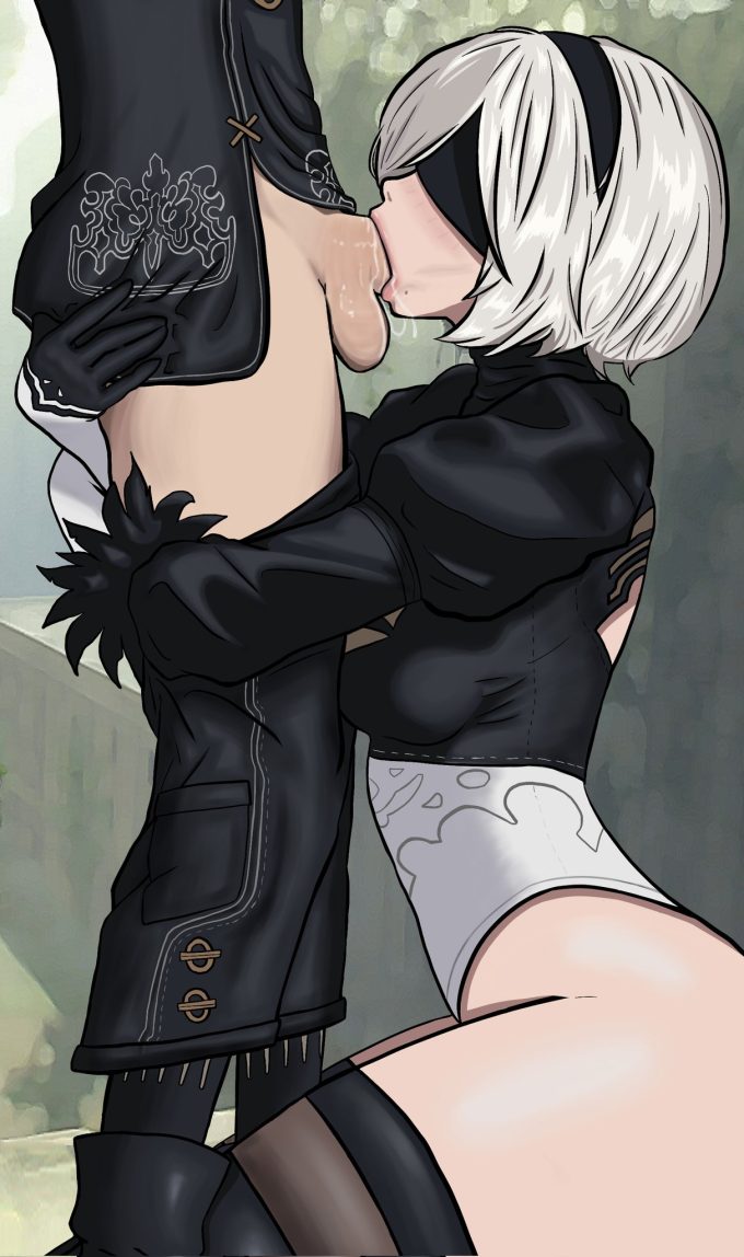 2B and 9S – Nier Automata